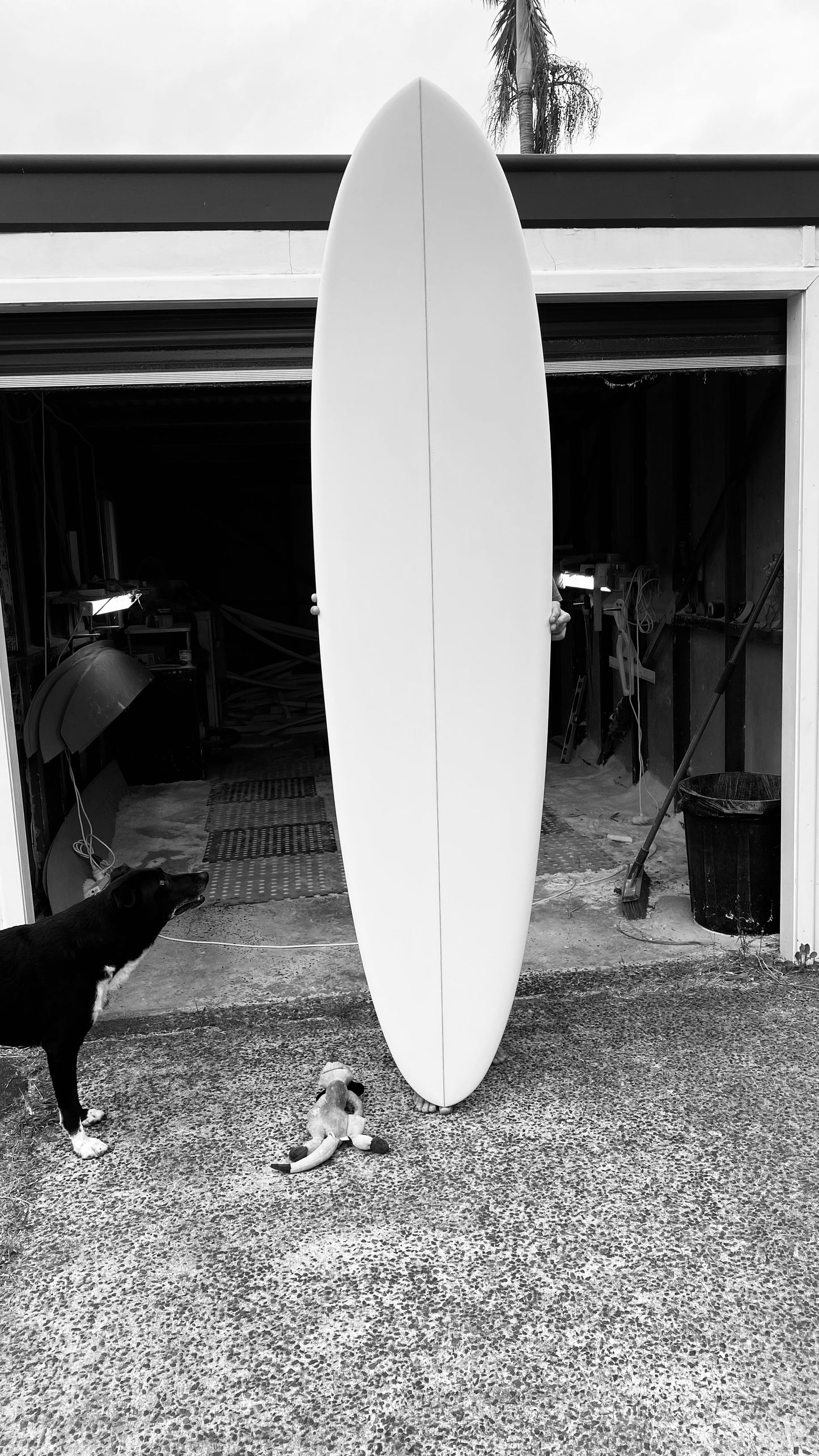 “Bagheera” 7’10 mid length